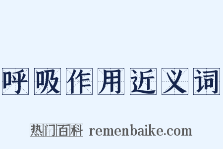 呼吸作用近义词是什么意思的图片
